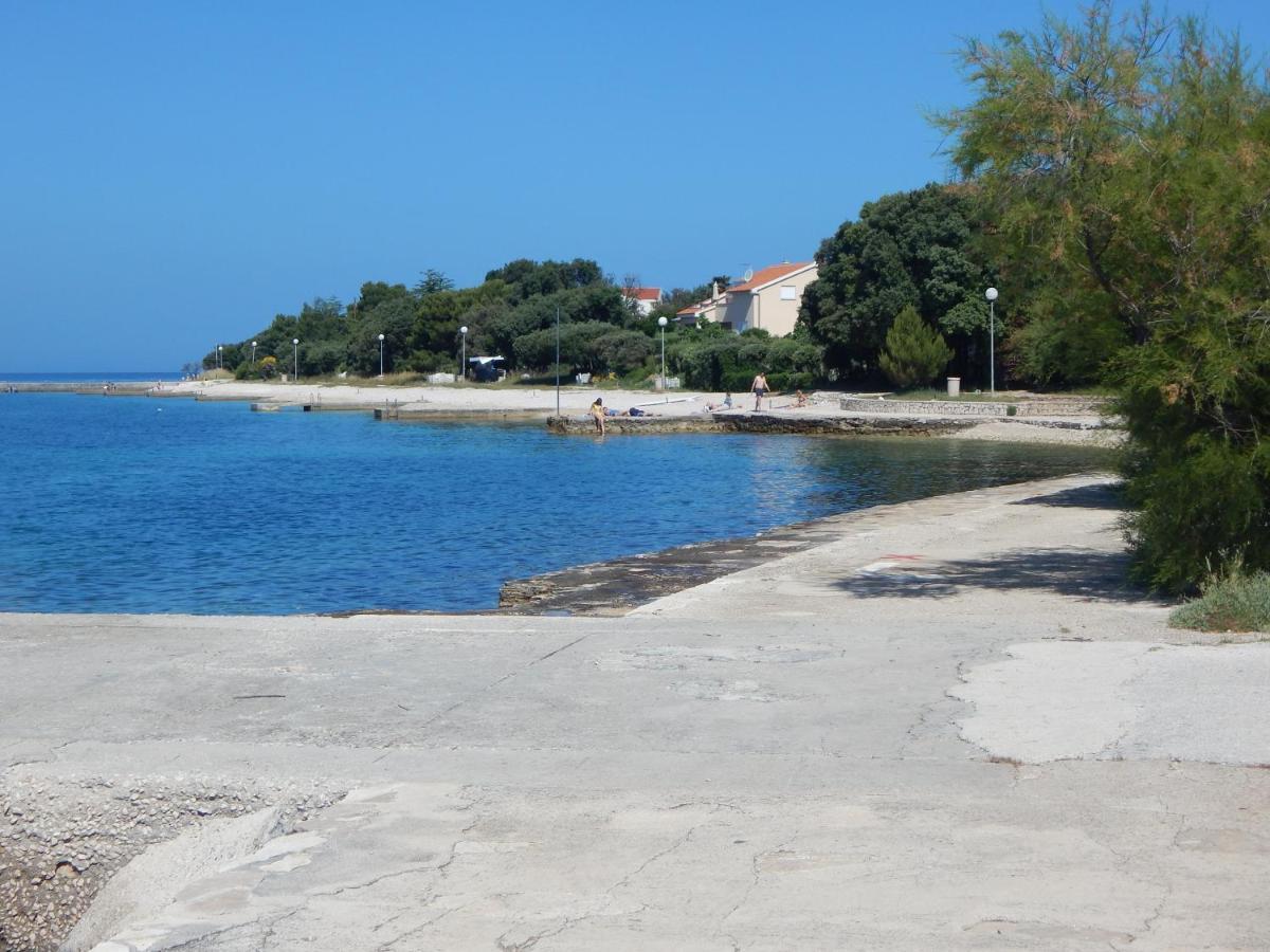 Apartman Duje Petrcane Bagian luar foto