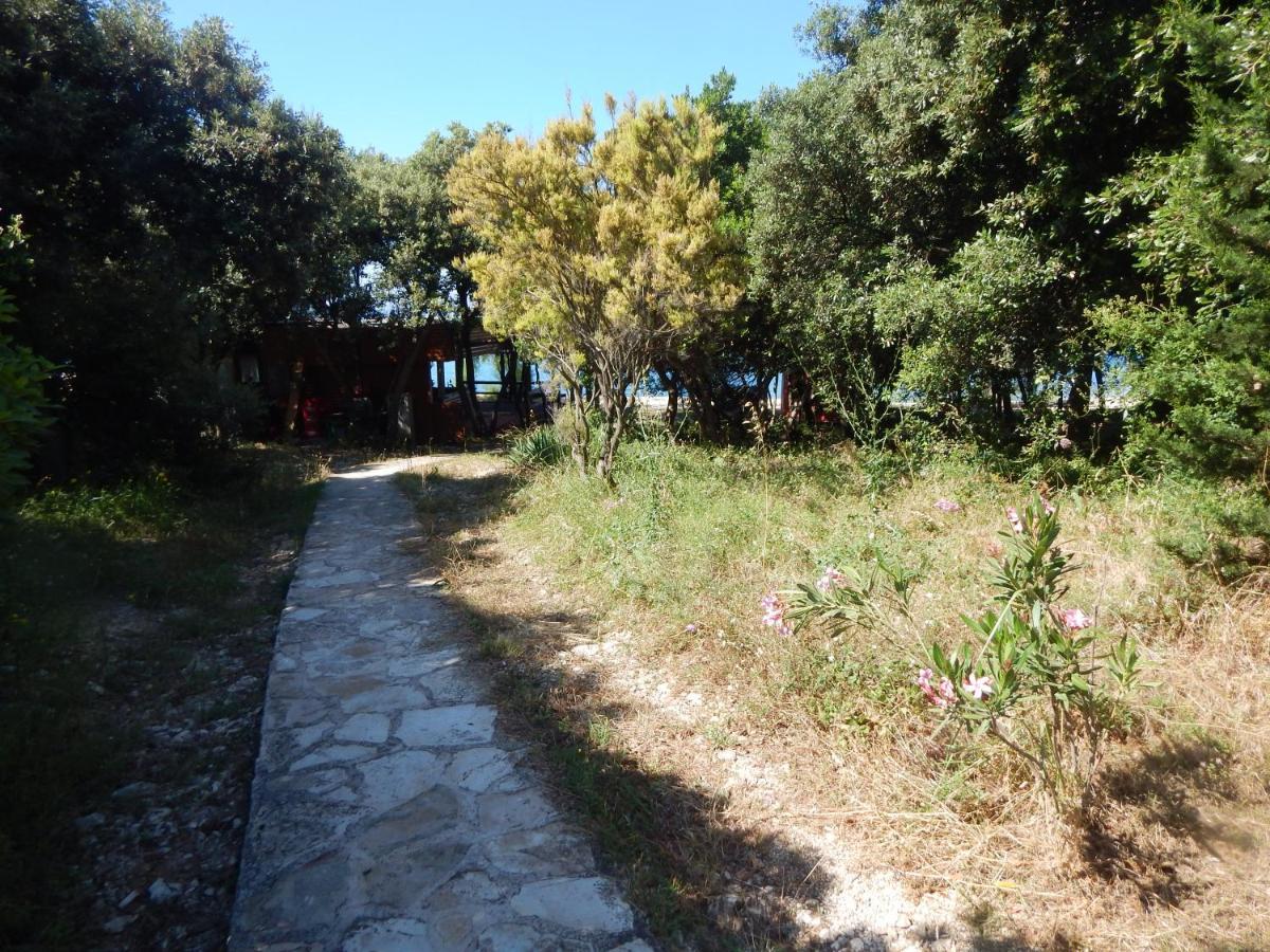 Apartman Duje Petrcane Bagian luar foto